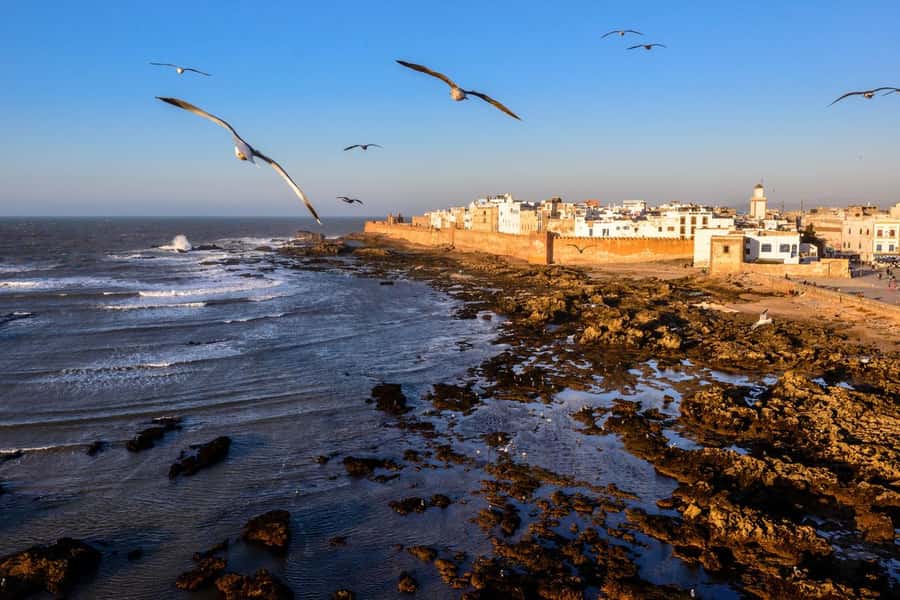 From Marrakech To Essaouira Mogador Full Day Trip Smallgroup - Marrakech to Essaouira in one day: what the 11 hours really means