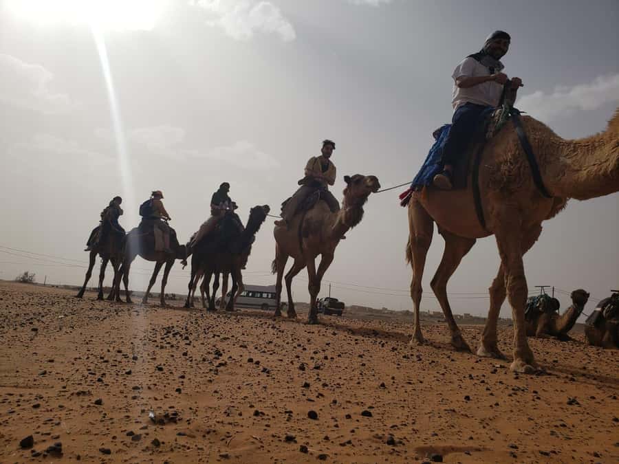 From Marrakech to Fes 4-Day Merzouga Sahara Desert Adventure - Guide Quality: Names You Might Hear, Skills You’ll Appreciate