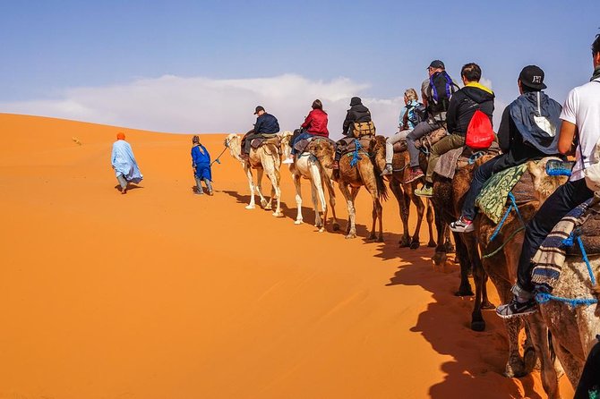 From Marrakech To Fes Through The Desert Of Merzouga: Shared - Who should book this shared Marrakech to Fes desert transfer