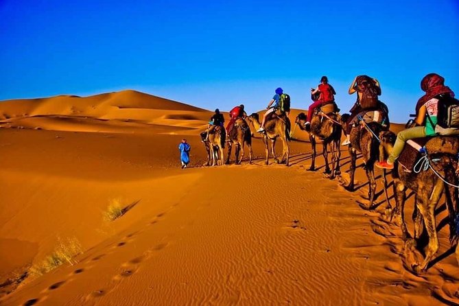 From Marrakech to Sahara Merzouga - 3 Days Trip - Key things that make this 3-day Sahara route work