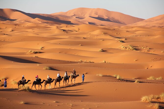 From Marrakech to Sahara Merzouga - 3 Days Trip - Marrakech to Merzouga in 3 days: what you’re signing up for