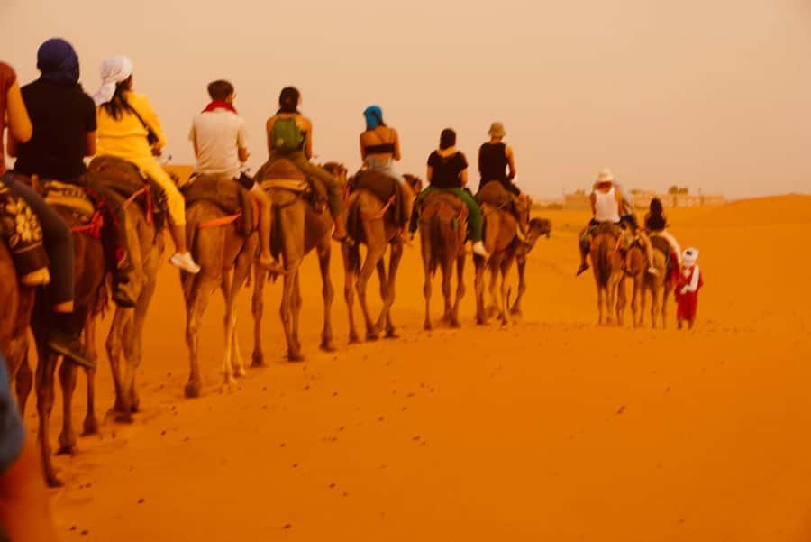 From Marrakech: Tour 3-Day To Fez Via-Desert Merzouga - Who this tour suits best (and who should look for alternatives)
