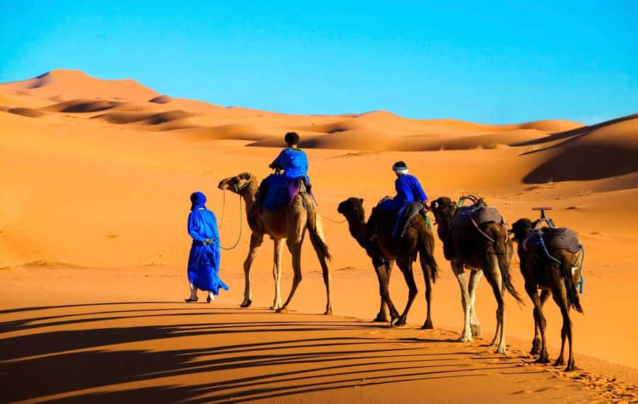 From Marrakech: Tour 3-Day To Fez Via-Desert Merzouga - Merzouga arrival: the camel caravan moment you remember