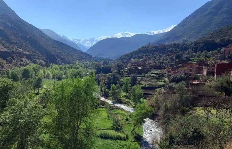 From Marrakech : Valley Ourika Day Trip and Atlas Mountains - Key highlights I’d plan around