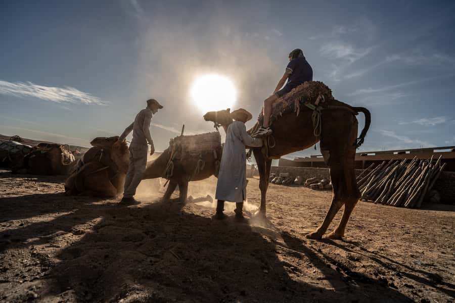 From Marrakech: VIP Agafay Desert & Oasis Camel Experience - Getting to the Stony Hills: Marrakech Transfers and Timing