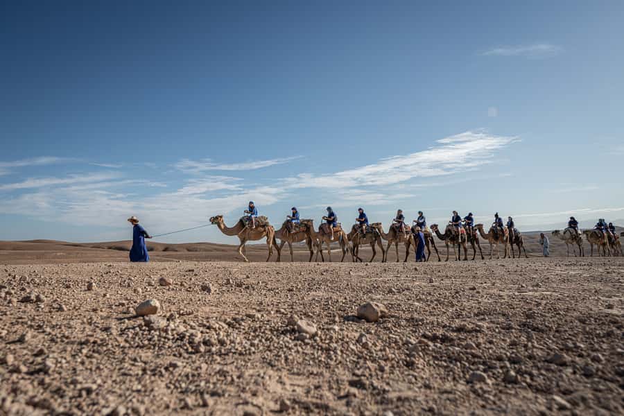 From Marrakech: VIP Agafay Desert & Oasis Camel Experience - Oasis Welcome: Tea, Snacks, and a Pause That Matters
