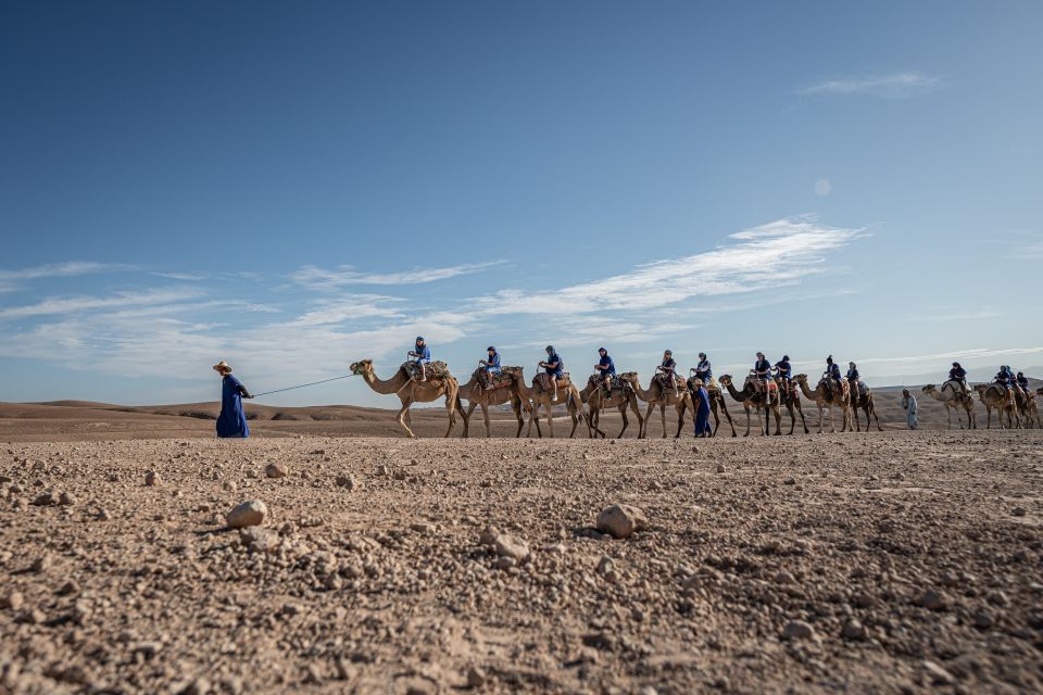 From Marrakech: VIP Agafay Desert & Oasis Camel Experience - Who This Tour Suits Best (and Who Should Skip)