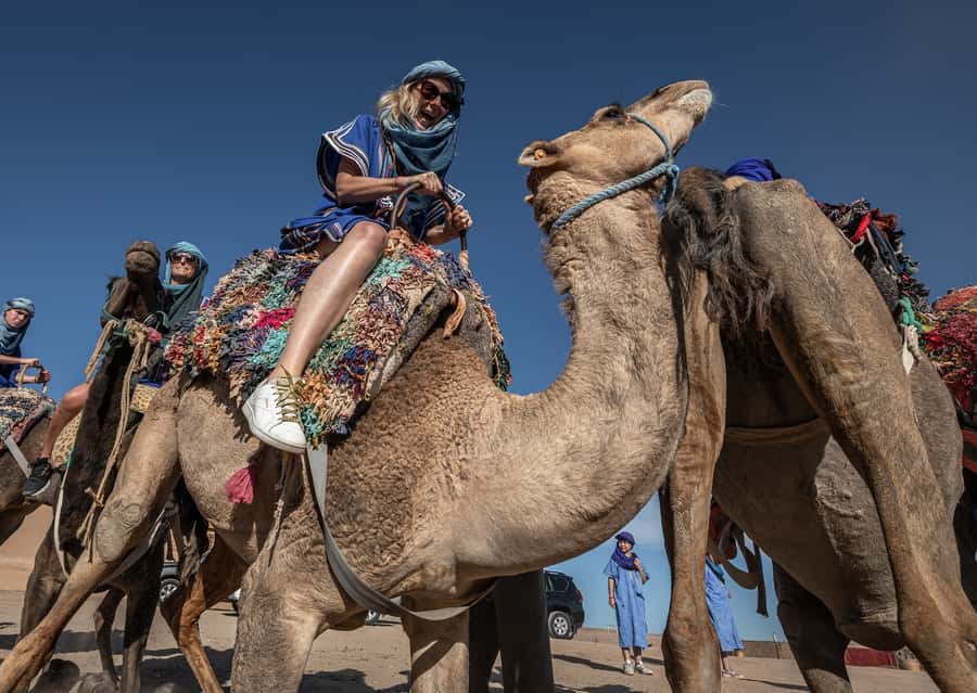 From Marrakech: VIP Agafay Desert & Oasis Camel Experience - Language, Guides, and the Human Touch