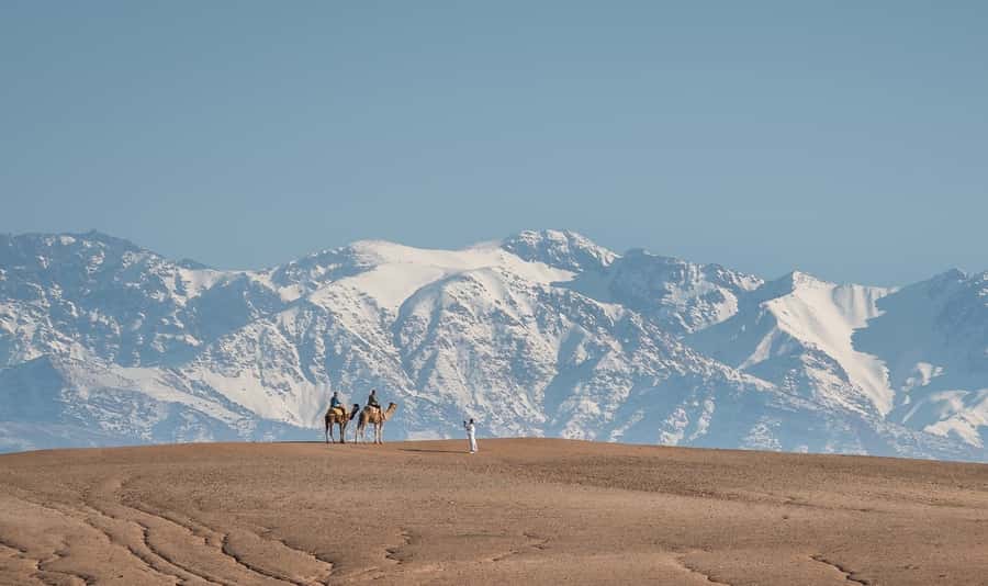 From Marrakech: VIP Agafay Desert & Oasis Camel Experience - The Camel Ride Itself: Meet Your Camel Buddy and Take It Slow