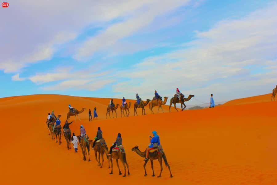 From Marrakesh: 2-Day Desert Zagoura Tour - Key Things I’d Prioritize
