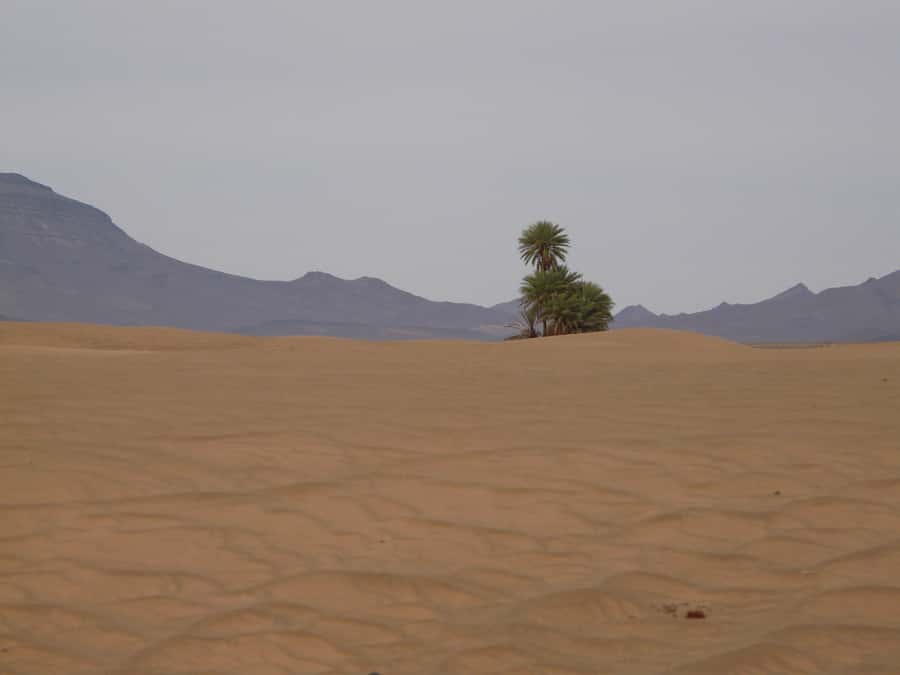 From Marrakesh: 2-Day Desert Zagoura Tour - Tips I’d Use Before You Go