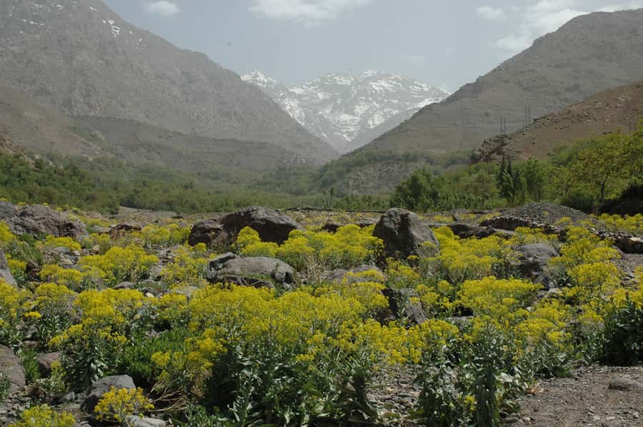 From Marrakesh: 3-Day Trip to Berber Villages - Day 2: Imnane Valley, Ikkiss, and Mount Toubkal View Moments