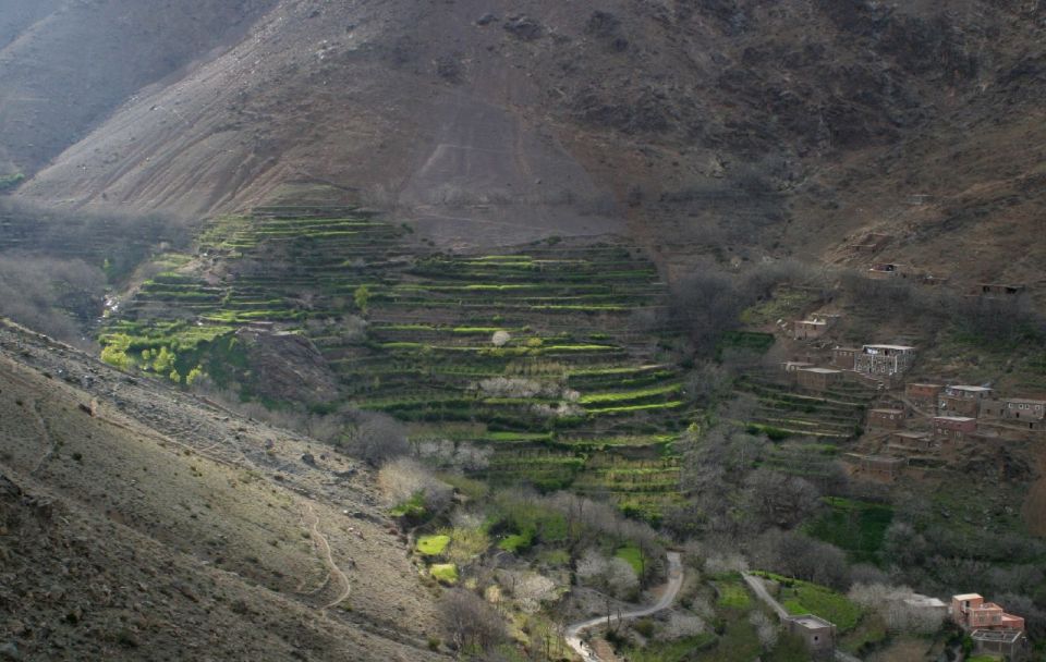 From Marrakesh: 3-Day Trip to Berber Villages - Guides, Chef, and the Mule Plan That Keeps the Hike Enjoyable