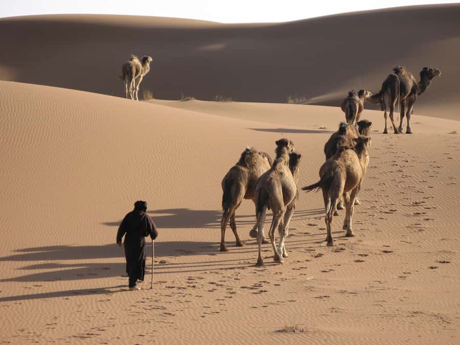 From Marrakesh: 3-Days Erg Chegaga Désert Tours - Practical Tips That Improve Your Desert Comfort