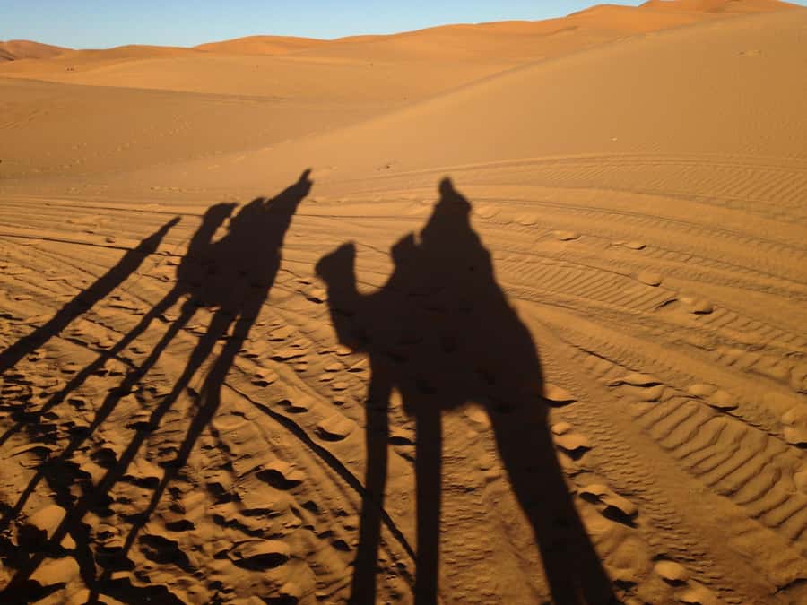 From Marrakesh: 3-Days Erg Chegaga Désert Tours - Zagora Desert Camp Night: Camel Sunset, Dinner, and a Real Overnight