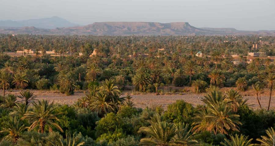 From Marrakesh: 4-Day Private Atlas Mountains & Desert Tour - Erg Chebbi at Sunset: Camel Ride, Desert Camp Night, and Fire-Time Culture