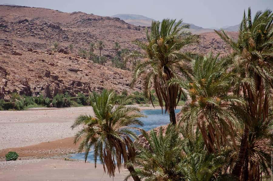 From Marrakesh: 4-Day Private Atlas Mountains & Desert Tour - Meals and Accommodation: Comfortable Stops That Keep the Pace Real