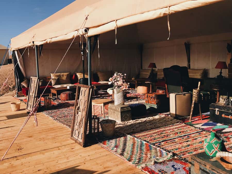From Marrakesh: Agafay Desert Quad Biking, Camels & Dinner - Camel ride after the quad: slowing down on purpose