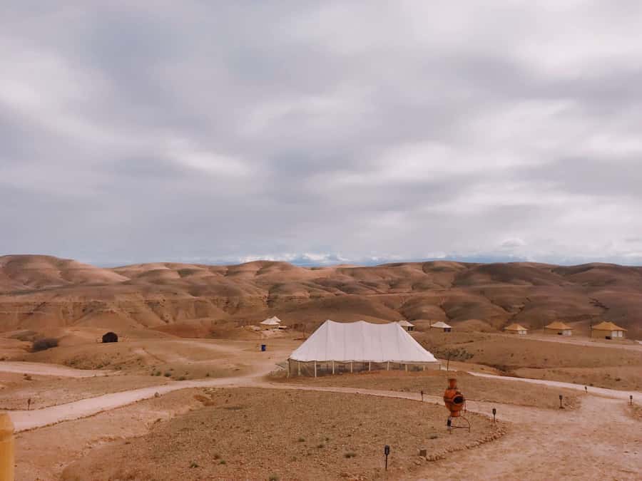 From Marrakesh: Agafay Desert Quad Biking, Camels & Dinner - The small details that quietly make or break it