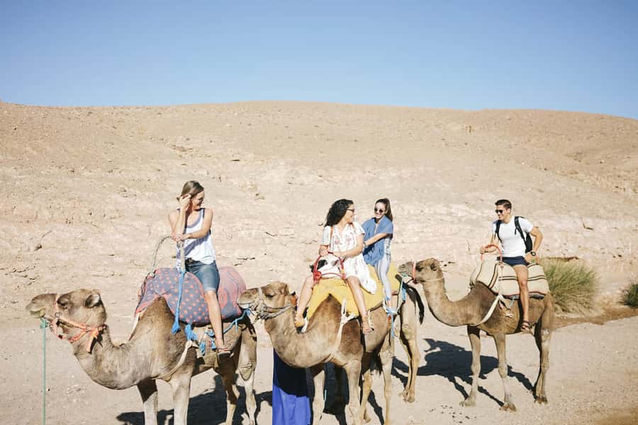From Marrakesh: Agafay Desert Quad Biking, Camels & Dinner - Should you book this quad biking, camel ride, and Berber dinner?