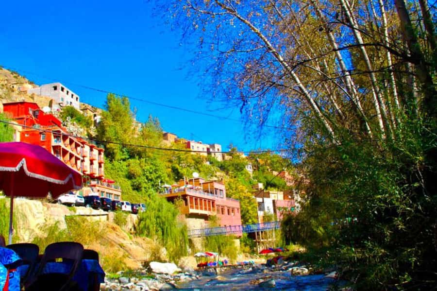 From Marrakesh: Day Tour to Ourika Valley & Atlas Mountains - Majid and the difference a calm guide makes