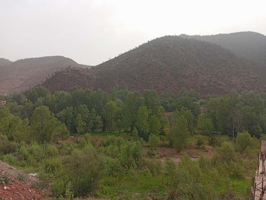 From Marrakesh: Day Tour to Ourika Valley & Atlas Mountains - Price and what you may pay extra
