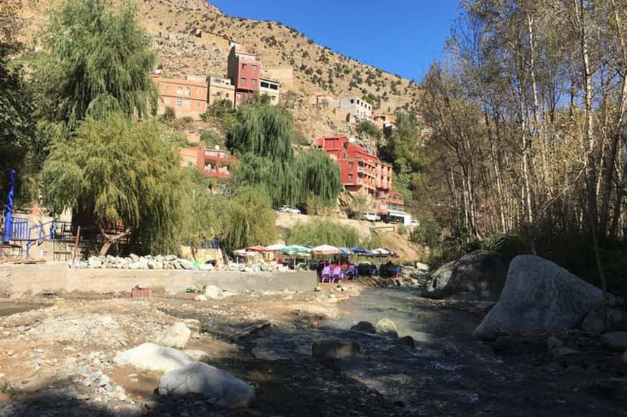 From Marrakesh: Day Tour to Ourika Valley & Atlas Mountains - Pickups, drive time, and the minibus vibe