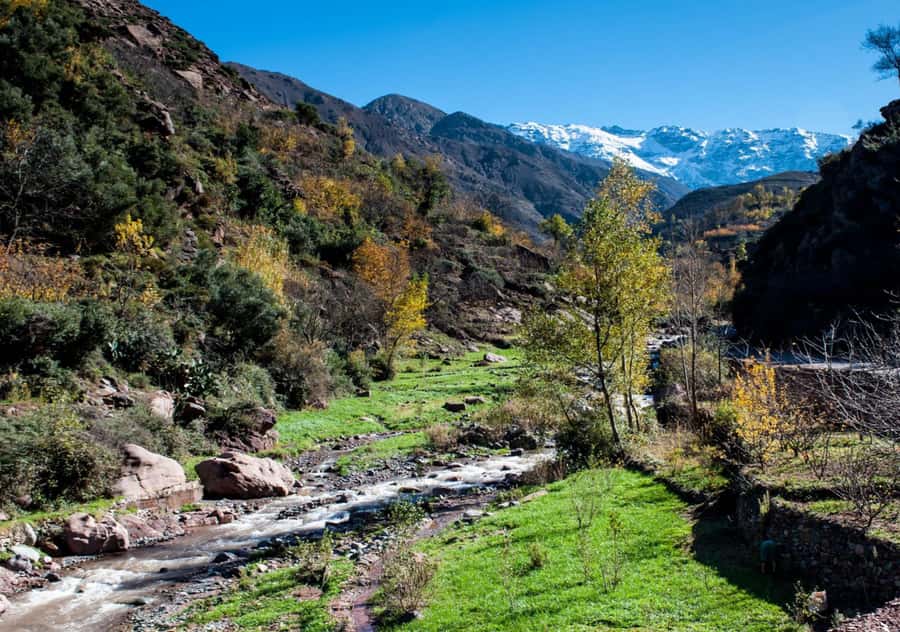 From Marrakesh: Day Trip to Atlas Mountains & Optional Lunch - Imlil: Your doorway to the High Atlas
