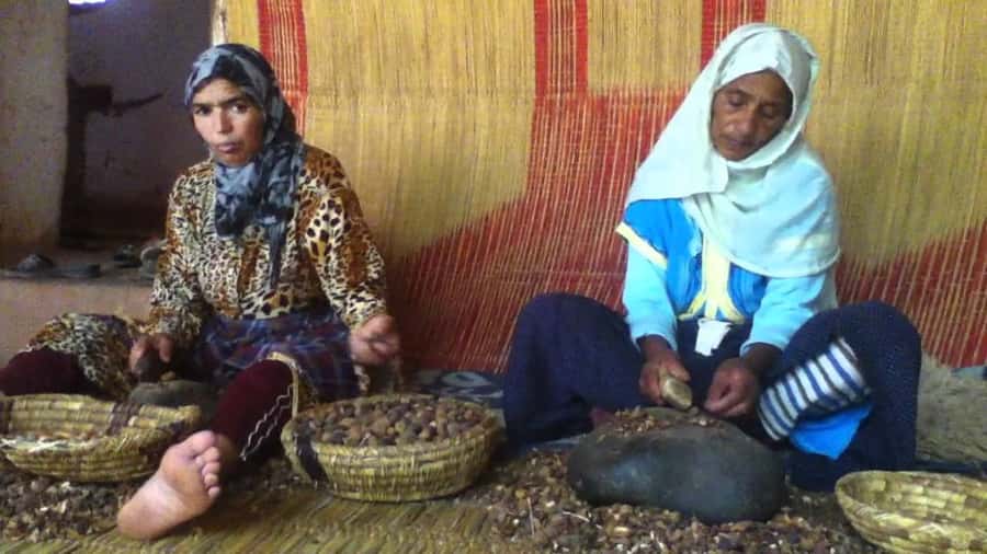From Marrakesh: Essaouira Day Trip - Essaouira’s Medina: Blue Walls, Narrow Streets, and Freedom to Roam