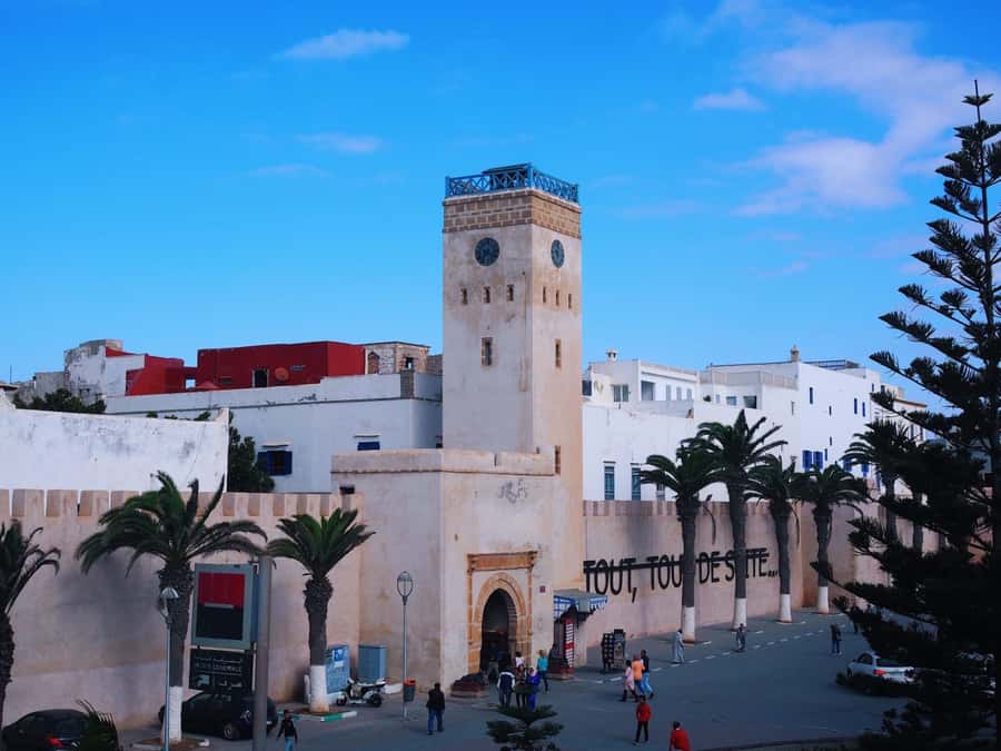From Marrakesh: Essaouira Day Trip - Skala du Port d’Essaouira: Ocean Views That Make the Day Pay Off