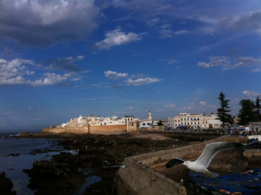 From Marrakesh: Essaouira Full-Day Excursion - Roadside tea, villages, and quick photo stops