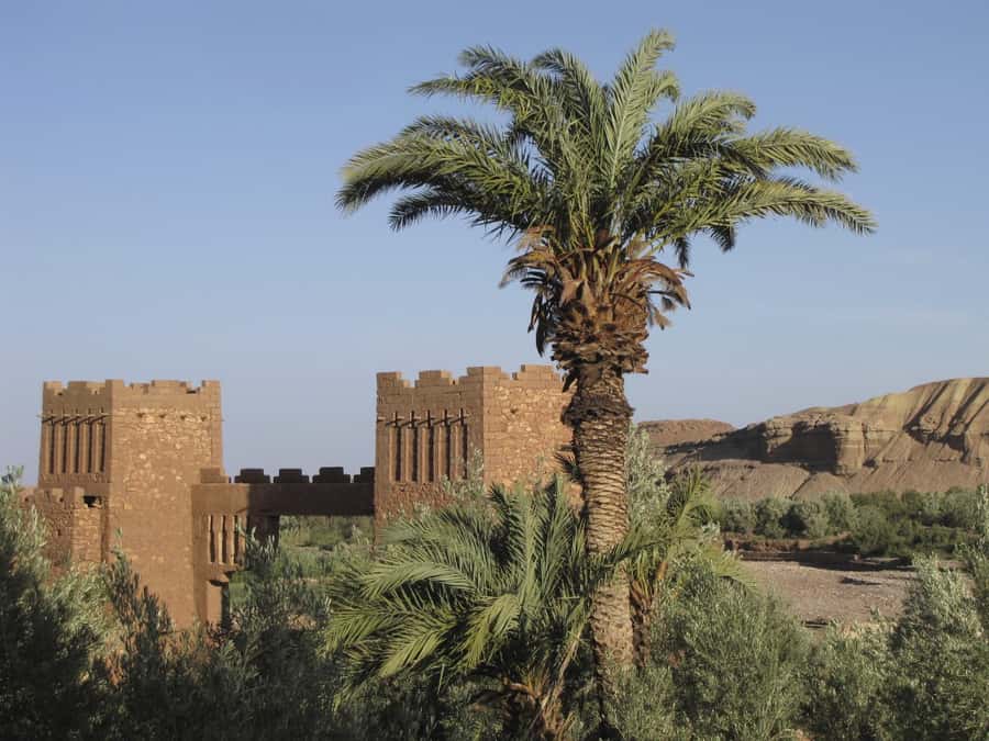 From Marrakesh: Ouarzazate & Ait Ben Haddou Day Tour - Crossing the High Atlas: Tizi N’Tichka and photo-stop Morocco