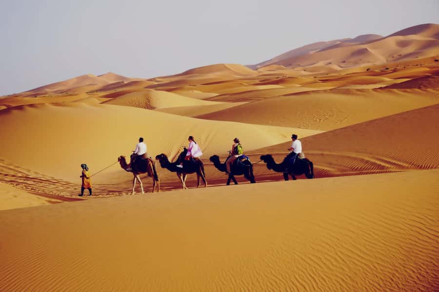 From Merzouga: Desert Overnight in Heated Tent & Camel Ride - Quick highlights to know before you go