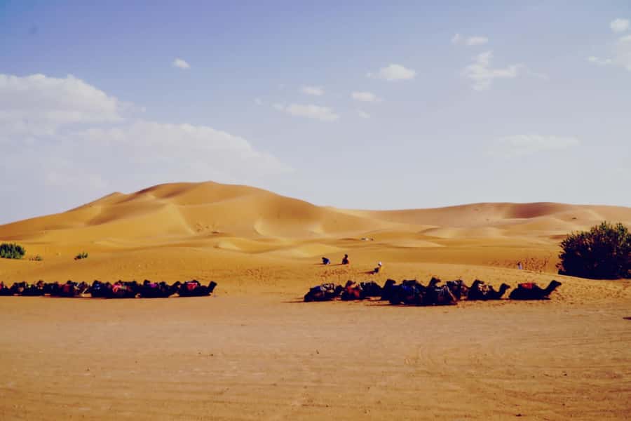 From Merzouga: Desert Overnight in Heated Tent & Camel Ride - Getting to the dunes by 4x4, then on camel power