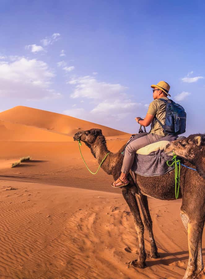 From Merzouga: Sunset Camel Ride & Sandboarding - Two Hours in Merzouga’s Dunes: Sunset or Sunrise Camel Time