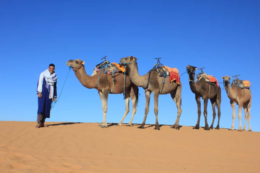 From Merzouga: Sunset Camel Ride & Sandboarding - Who Should Book This Camel Ride and Sandboarding