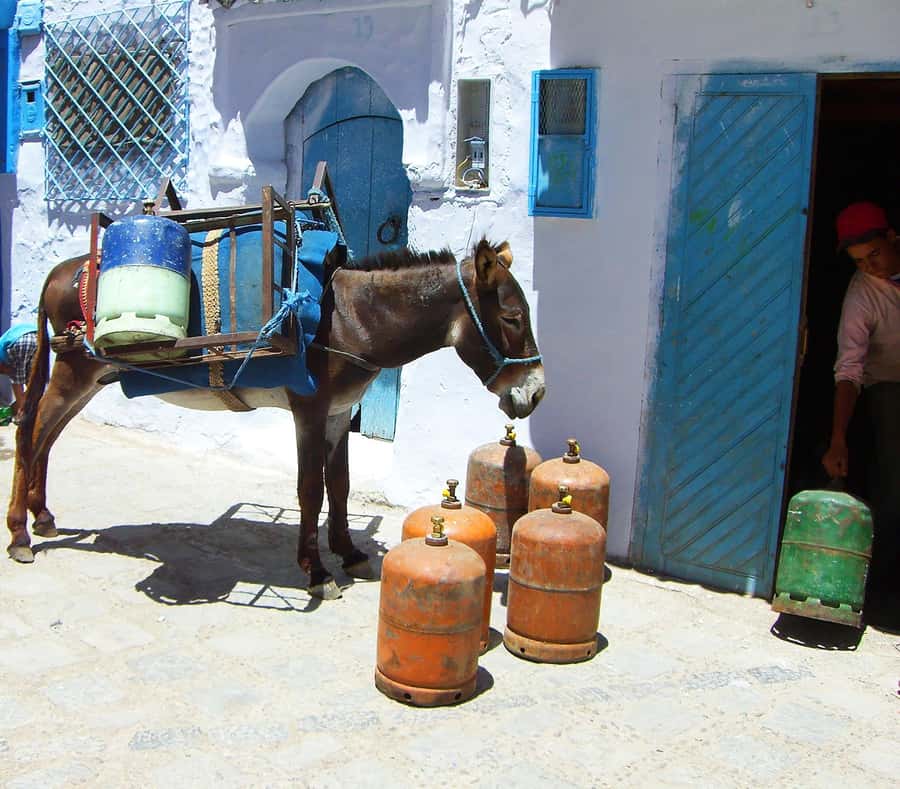 From Rabat: Chefchaouen full-Day trip including lunch - Medina walk with a guide: the difference between seeing and understanding