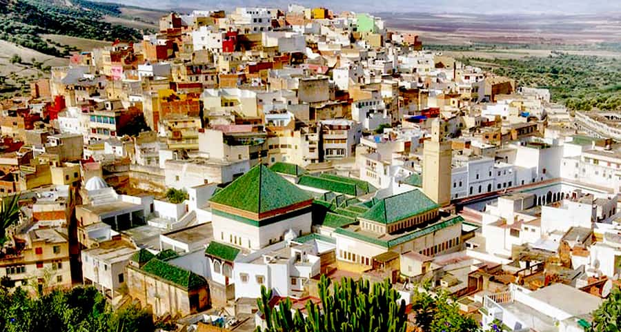 From Rabat: Volubilis and Meknes Full-day Tour - Volubilis Roman city: mosaics, baths, oilery, and the valley views