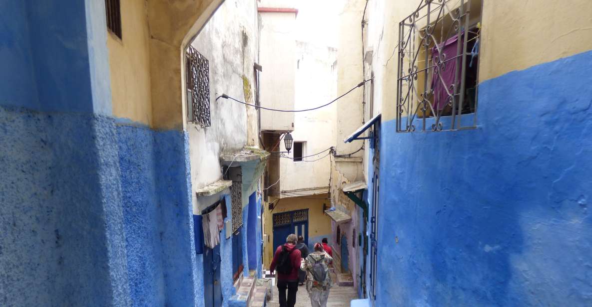 From Seville: Day Trip to Tangier with Lunch - The Carpet Factory Visit: How to Judge the Time