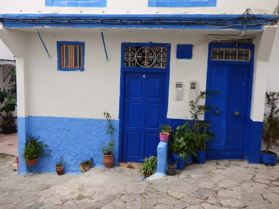 From Seville: Day Trip to Tangier with Lunch - Starting in Seville and the Real Meaning of Those Transfers
