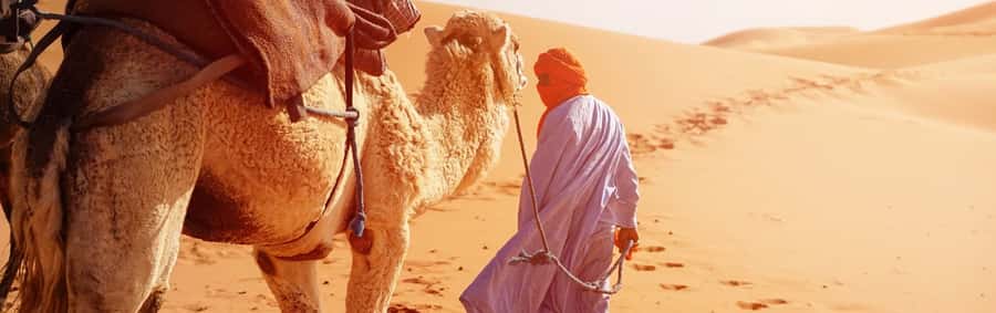From Seville: Full-Day Tour to Tangier - Shopping vs. sightseeing: how to avoid wasting your day