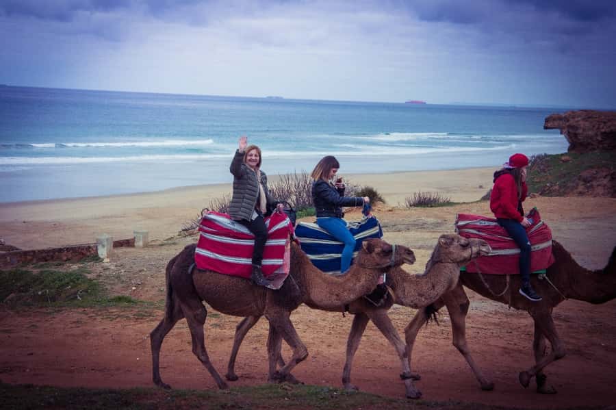 From Seville: Tangier Day Trip with Local Guide and Lunch - Tarifa to Tangier: Ferry Views, Passport Lines, and Sea Conditions