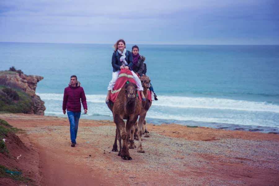 From Seville: Tangier Day Trip with Local Guide and Lunch - Shopping Time: How to Enjoy Markets Without Getting Worn Out