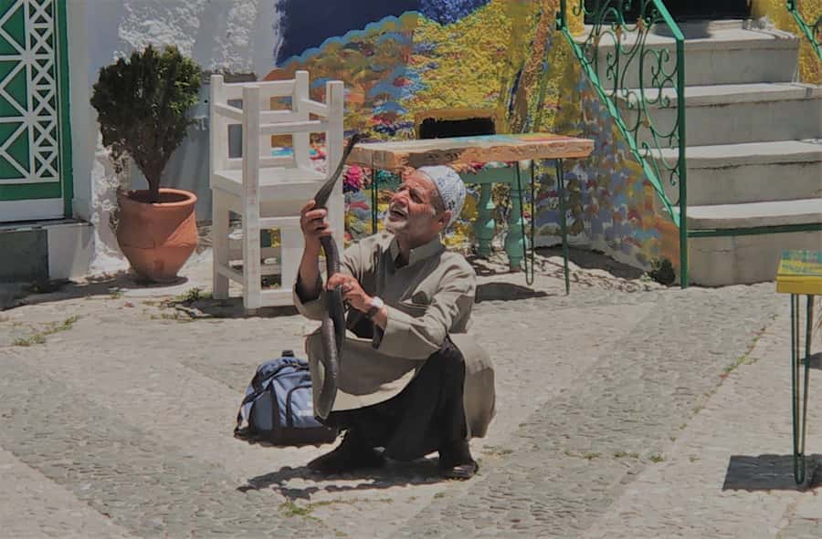 From Seville: Tangier Day Trip with Local Guide and Lunch - Price and Value: What $258 Actually Buys You