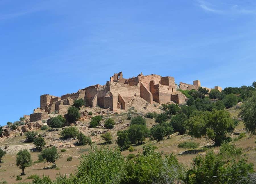 From Taghazout/Agadir: Taroudant and Tiout Day Trip & Tajine - Tiout oasis: palm grove pace, Berber village atmosphere, and a story you can point to