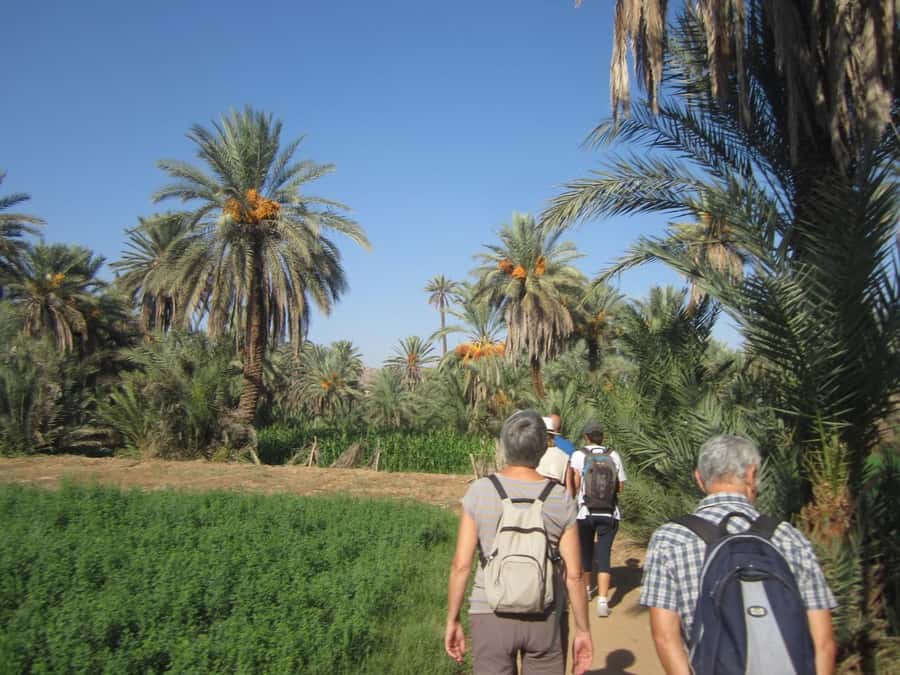From Taghazout/Agadir: Taroudant and Tiout Day Trip & Tajine - Guides and languages: helpful when you’re trying to learn fast