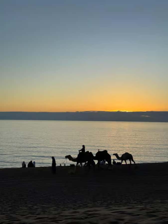 From Taghazout: Excursion Quad Bike & Visit Canyon - Canyon Visit: Where the Best Photos Happen
