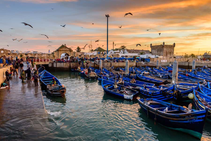From Taghazout: Medina of Essaouira Guided Day Trip - Why Essaouira From Taghazout Fits a 9-Hour Day