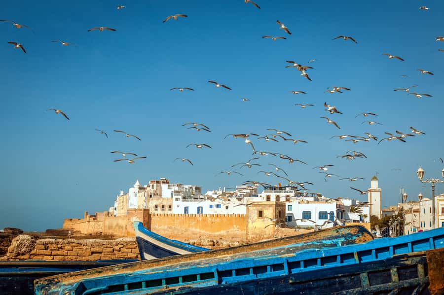 From Taghazout: Medina of Essaouira Guided Day Trip - The Atlas Drive: Flying Goats, Berber Coffee, and Argan Oil