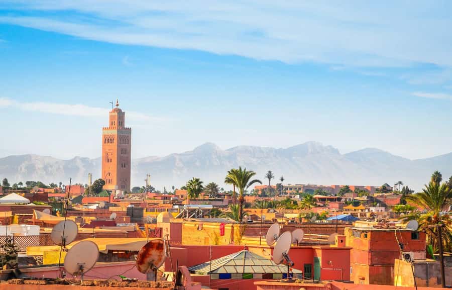 From Taghazout or Agadir: Marrakech Guided Day Trip - Key highlights worth planning for